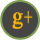 Google+ Icon